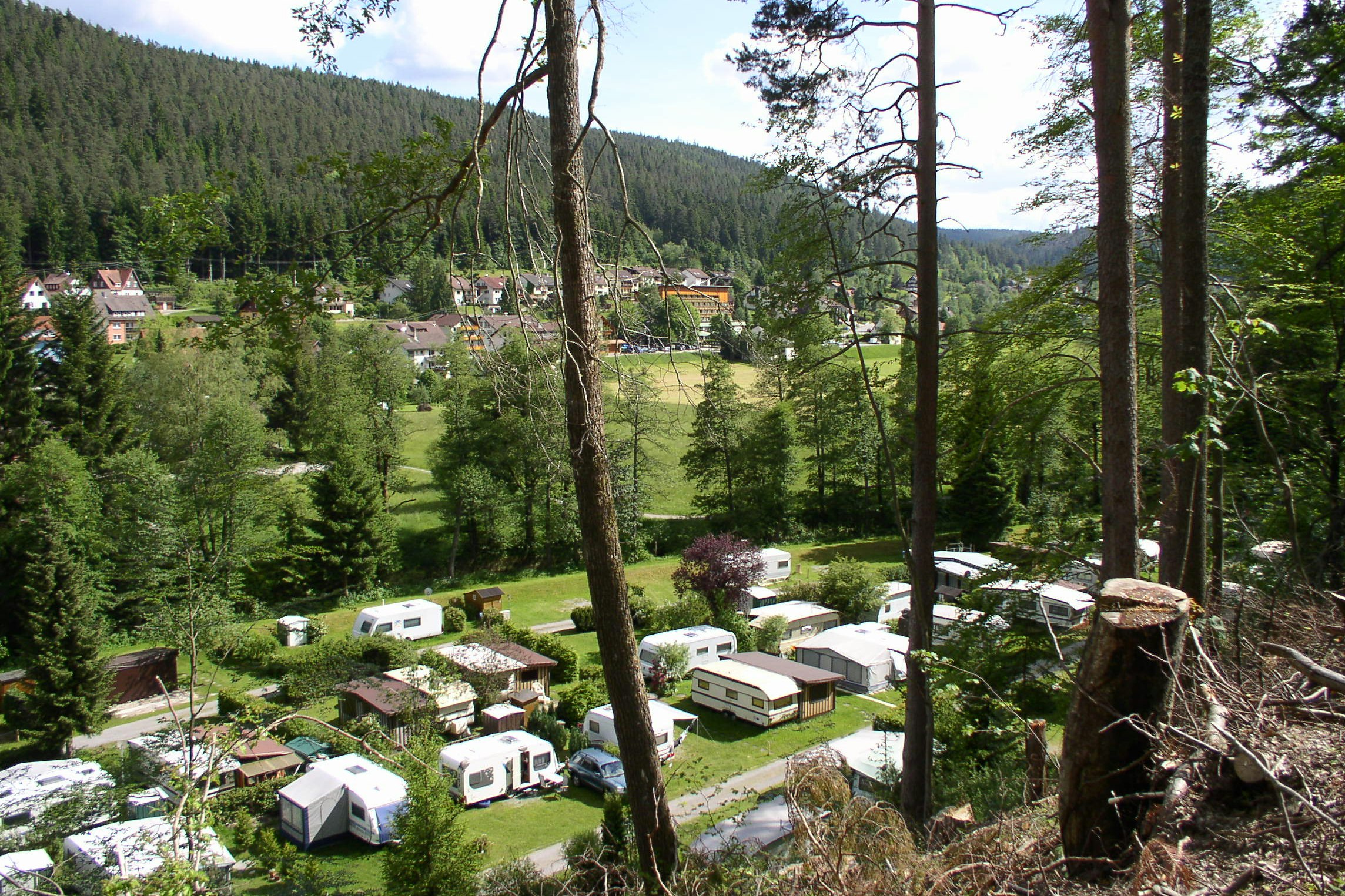 Camping mit Hund im Schwarzwald » Top Campingplätze | PiNCAMP by TCS